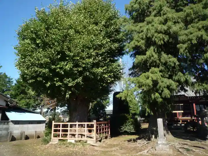 慈光寺(弓田ポックリ不動尊)のその他建物