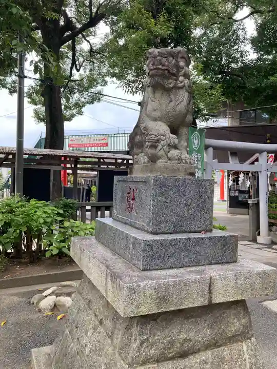 五方山熊野神社の狛犬
