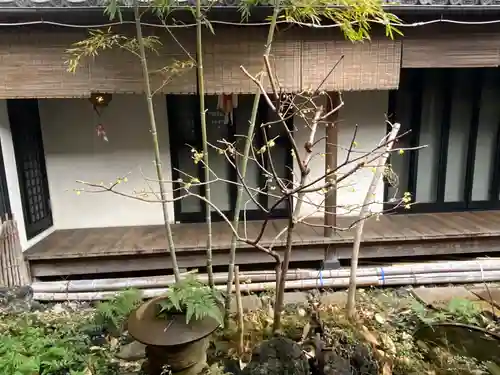 遠照山 光明寺（尼崎大仏）(兵庫県)