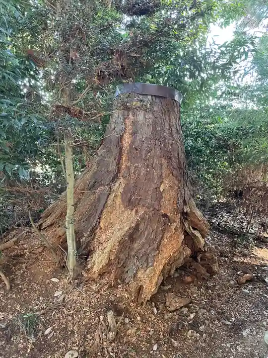 星宮神社(栃木県)