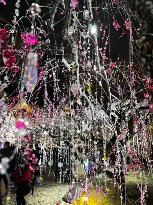 北野天満宮の{uncategorized: "未分類", other: "その他", undefined: "問題あり", building: "その他建物", grave: "お墓", sacred_gate: "鳥居", guardian: "狛犬", statue: "像", buddha: "仏像", history: "歴史", nature: "自然", garden: "庭園", animal: "動物", pagoda: "塔", temizu: "手水舎", mountain_gate: "山門・神門", sanctuary: "本殿・本堂", subordinate: "末社・摂社", art: "芸術", scenery: "景色", jizo: "地蔵", ema: "絵馬", goshuin: "御朱印", omikuji: "おみくじ", items: "授与品その他", amulet: "お守り", goshuincho: "御朱印帳", eats: "食事", festival: "お祭り", votive_dance: "神楽", shichigosan: "七五三参", wedding: "結婚式", experience: "体験その他", initially: "初詣", around: "周辺", anti_infection: "感染症対策"}