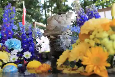 滑川神社 - 仕事と子どもの守り神の手水舎