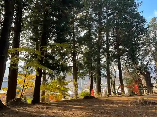 若宮八幡神社の自然