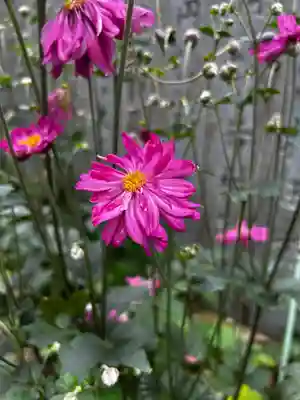 横峰寺(愛媛県)