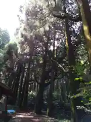 槵觸神社(宮崎県)