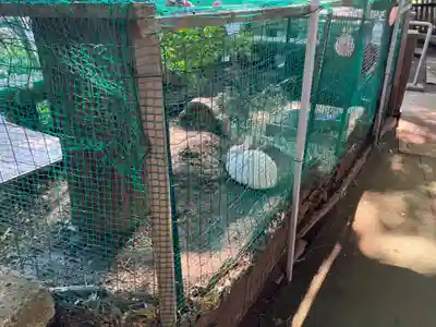 太子堂八幡神社(東京都)