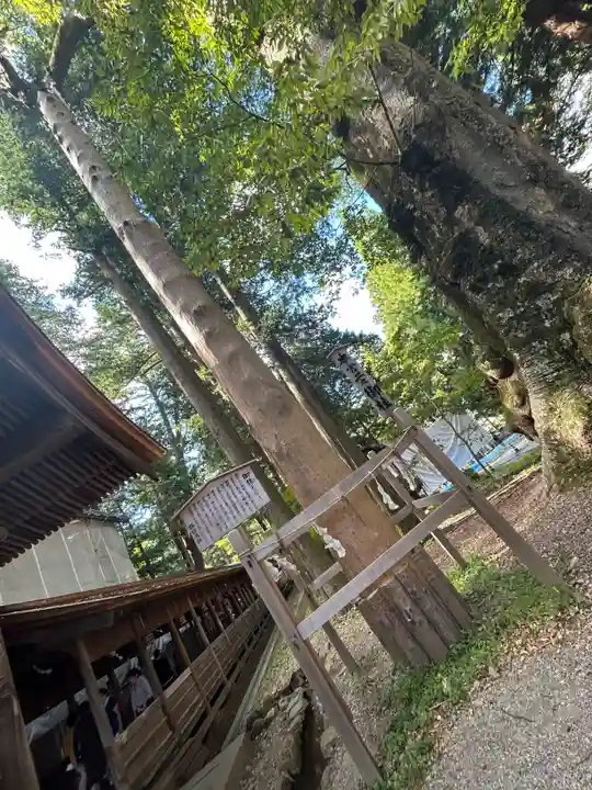 諏訪大社(長野県)