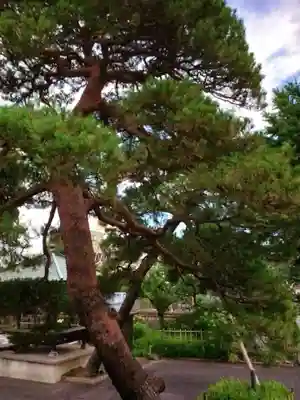 光明院(東京都)