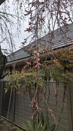 琳聖寺(京都府)