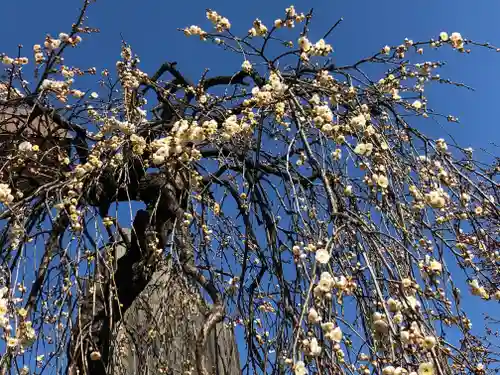 湯島天満宮の庭園