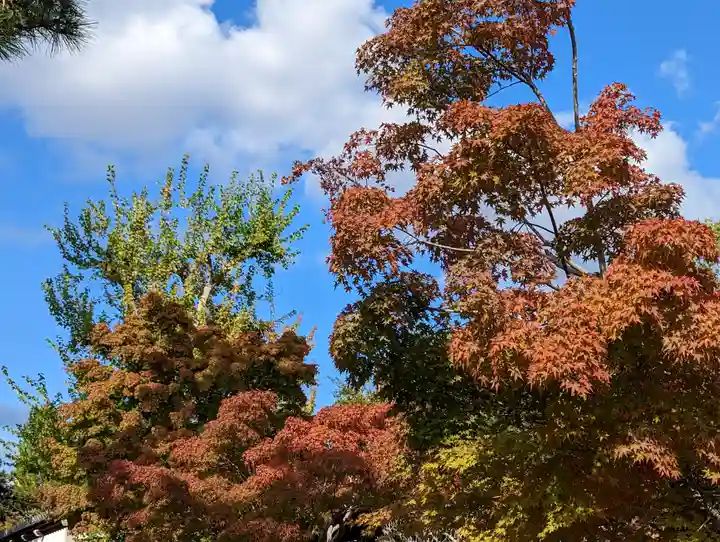 智積院(京都府)