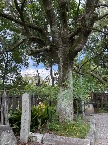 青蓮院門跡(京都府)