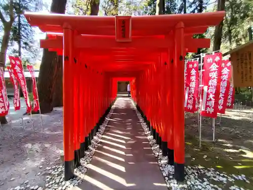 多賀大社(滋賀県)