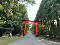 霧島神宮(鹿児島県)
