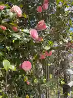 生雲八幡宮(山口県)