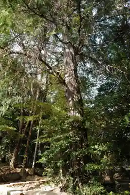 土支田八幡宮の{uncategorized: "未分類", other: "その他", undefined: "問題あり", building: "その他建物", grave: "お墓", sacred_gate: "鳥居", guardian: "狛犬", statue: "像", buddha: "仏像", history: "歴史", nature: "自然", garden: "庭園", animal: "動物", pagoda: "塔", temizu: "手水舎", mountain_gate: "山門・神門", sanctuary: "本殿・本堂", subordinate: "末社・摂社", art: "芸術", scenery: "景色", jizo: "地蔵", ema: "絵馬", goshuin: "御朱印", omikuji: "おみくじ", items: "授与品その他", amulet: "お守り", goshuincho: "御朱印帳", eats: "食事", festival: "お祭り", votive_dance: "神楽", shichigosan: "七五三参", wedding: "結婚式", experience: "体験その他", initially: "初詣", around: "周辺", anti_infection: "感染症対策"}