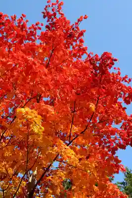 西野神社(北海道)
