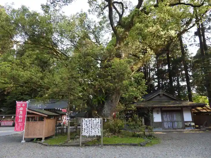 都農神社(宮崎県)