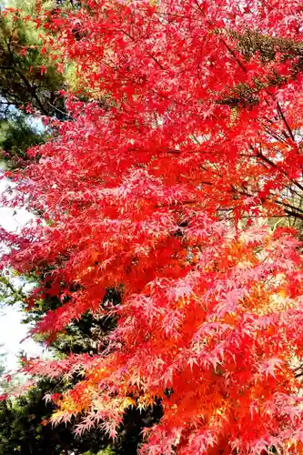 刈田神社(北海道)