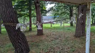 音江神社のおみくじ