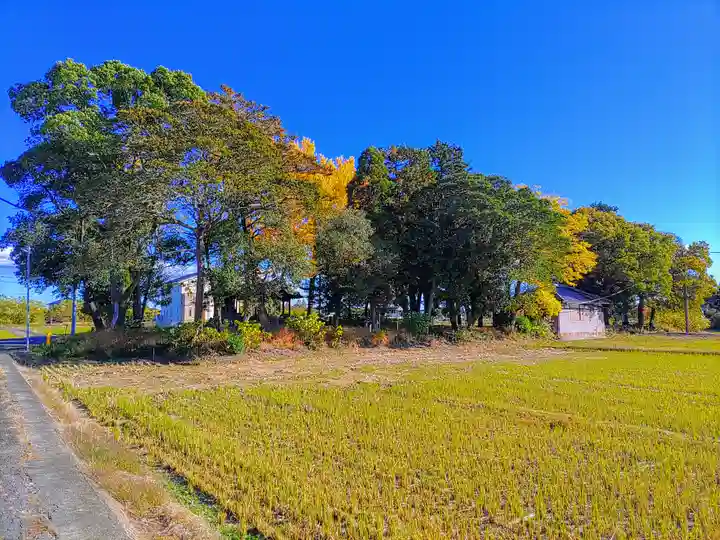熱田社(山崎)の自然