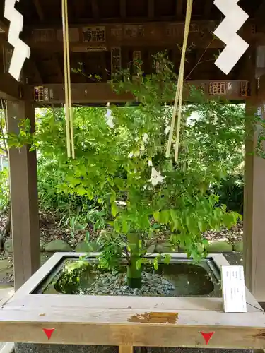 赤坂氷川神社(東京都)