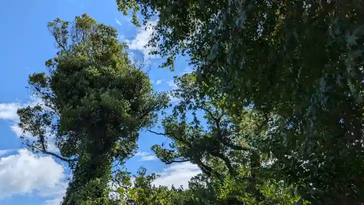 金比羅宮(千葉県)