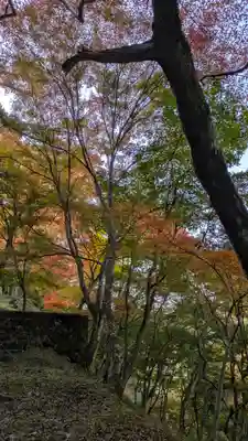 神護寺(京都府)