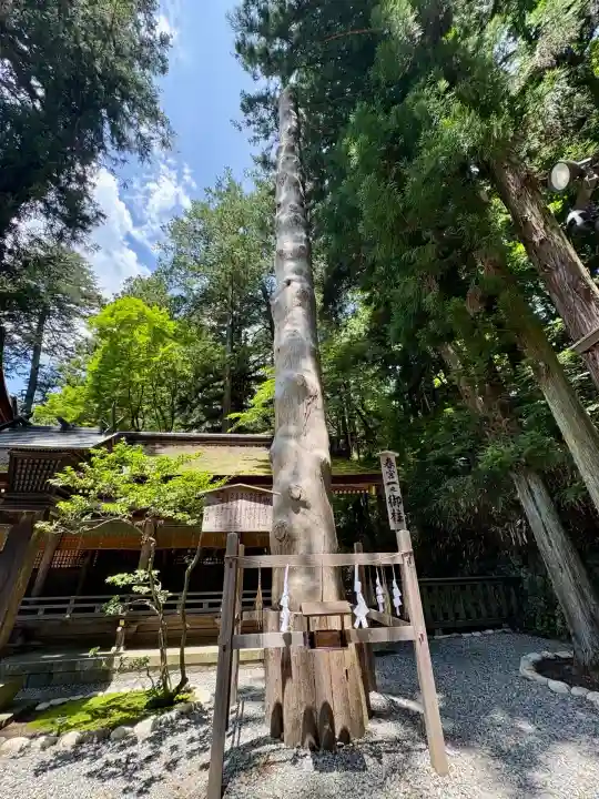 諏訪大社下社春宮(長野県)