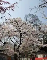 平野神社の自然