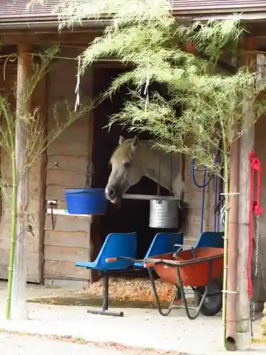 小室浅間神社の動物