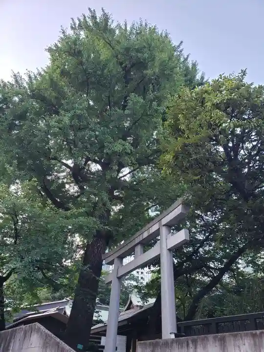 熊野神社(東京都)