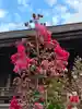 沙沙貴神社(滋賀県)