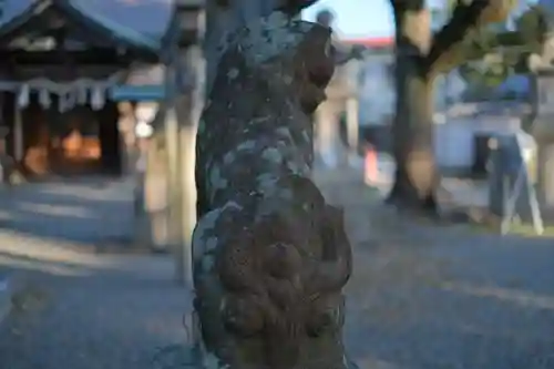 泉穴師神社の狛犬