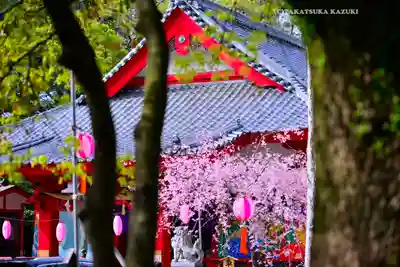 米之宮浅間神社(静岡県)