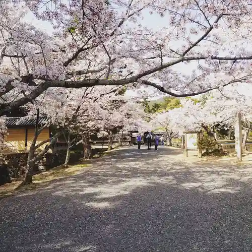 亀峰山平成院の庭園