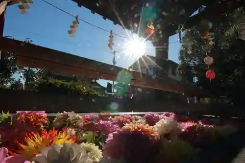 豊景神社の手水