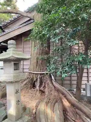 櫻神社(三重県)
