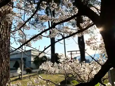 貴船神社の自然