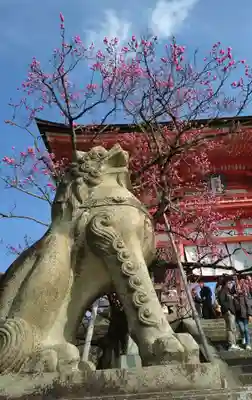 清水寺(京都府)