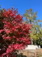 常樂寺(滋賀県)