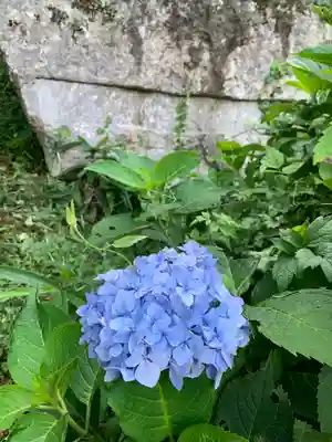 堂の下の岩観音の自然