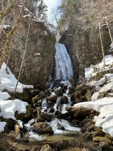 桜松神社の自然