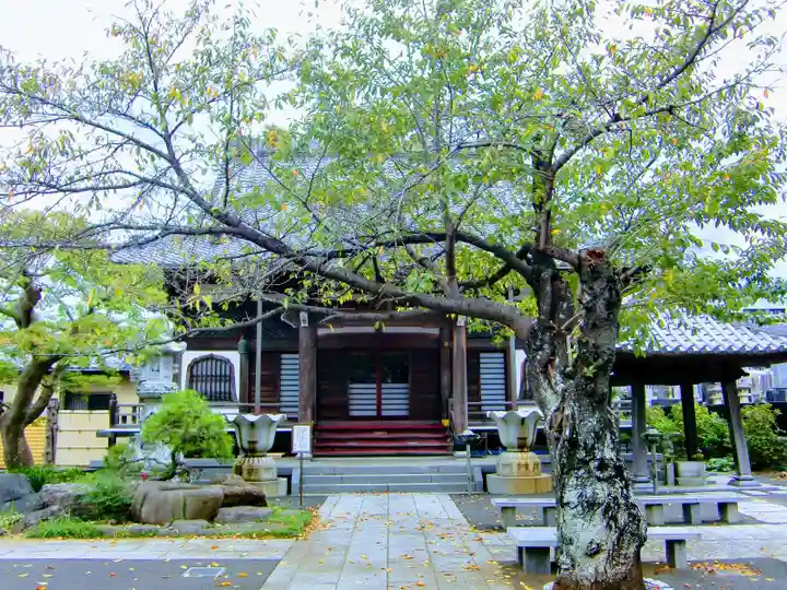 廣龍寺の本殿・本堂