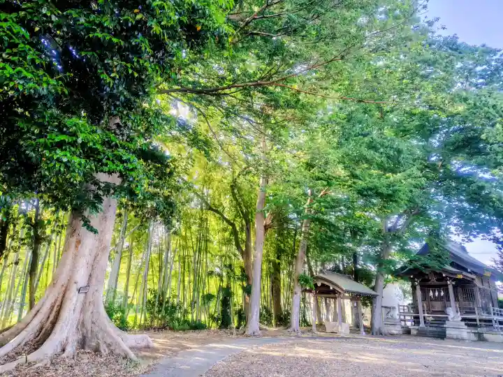 諏訪神社の{uncategorized: "未分類", other: "その他", undefined: "問題あり", building: "その他建物", grave: "お墓", sacred_gate: "鳥居", guardian: "狛犬", statue: "像", buddha: "仏像", history: "歴史", nature: "自然", garden: "庭園", animal: "動物", pagoda: "塔", temizu: "手水舎", mountain_gate: "山門・神門", sanctuary: "本殿・本堂", subordinate: "末社・摂社", art: "芸術", scenery: "景色", jizo: "地蔵", ema: "絵馬", goshuin: "御朱印", omikuji: "おみくじ", items: "授与品その他", amulet: "お守り", goshuincho: "御朱印帳", eats: "食事", festival: "お祭り", votive_dance: "神楽", shichigosan: "七五三参", wedding: "結婚式", experience: "体験その他", initially: "初詣", around: "周辺", anti_infection: "感染症対策"}