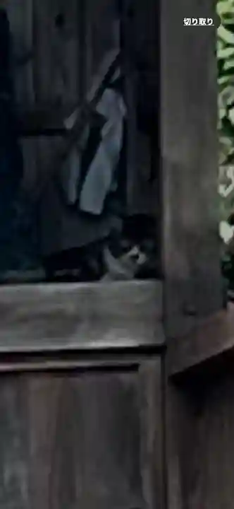 早鷹宮(福岡県)