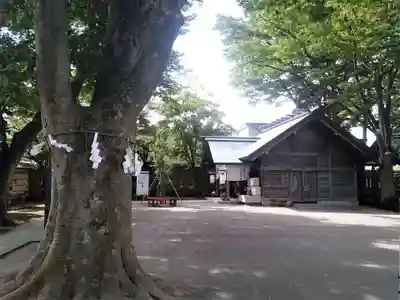 乃木神社(北海道)
