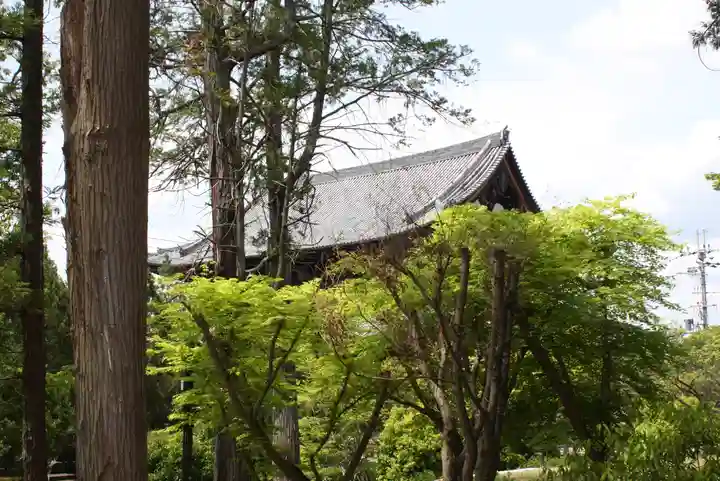 東福禅寺(東福寺)(京都府)