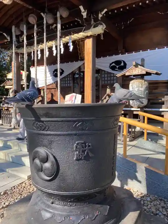 鎮守氷川神社の動物