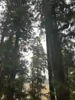 大宮温泉神社(栃木県)